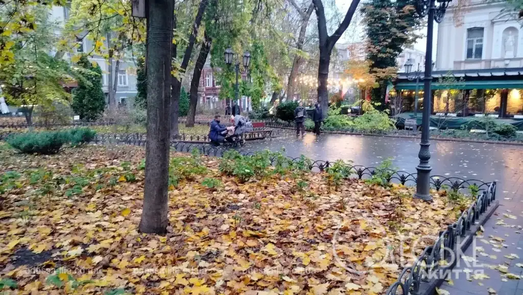 Листя жовте, мідне та трохи зелене кружляє разом із дощем