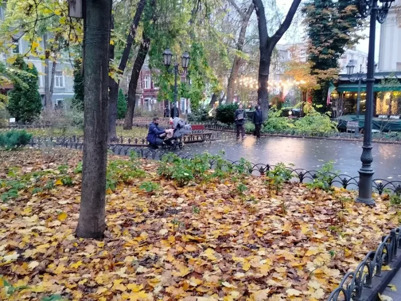 Листя жовте, мідне та трохи зелене кружляє разом із дощем