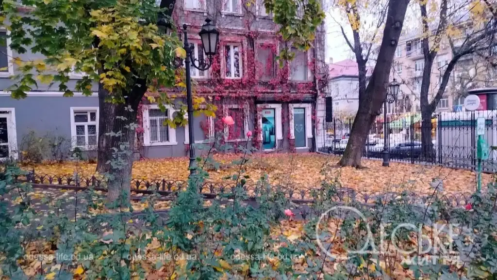 Одесский Горсад: осенние листья