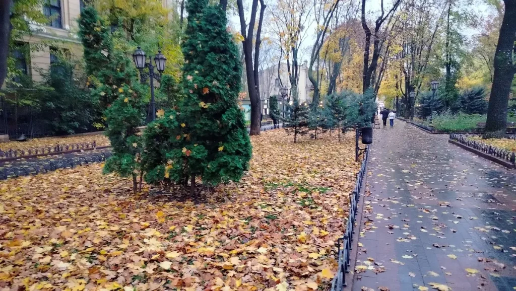 Горсад осенью