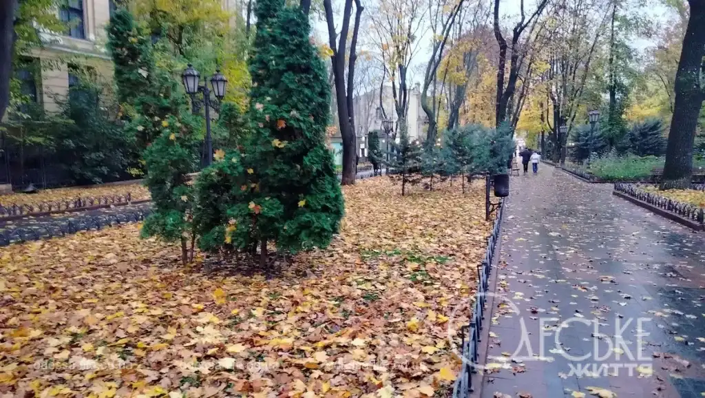 У листопаді Міський сад занурюється в тиху та задумливу атмосферу.