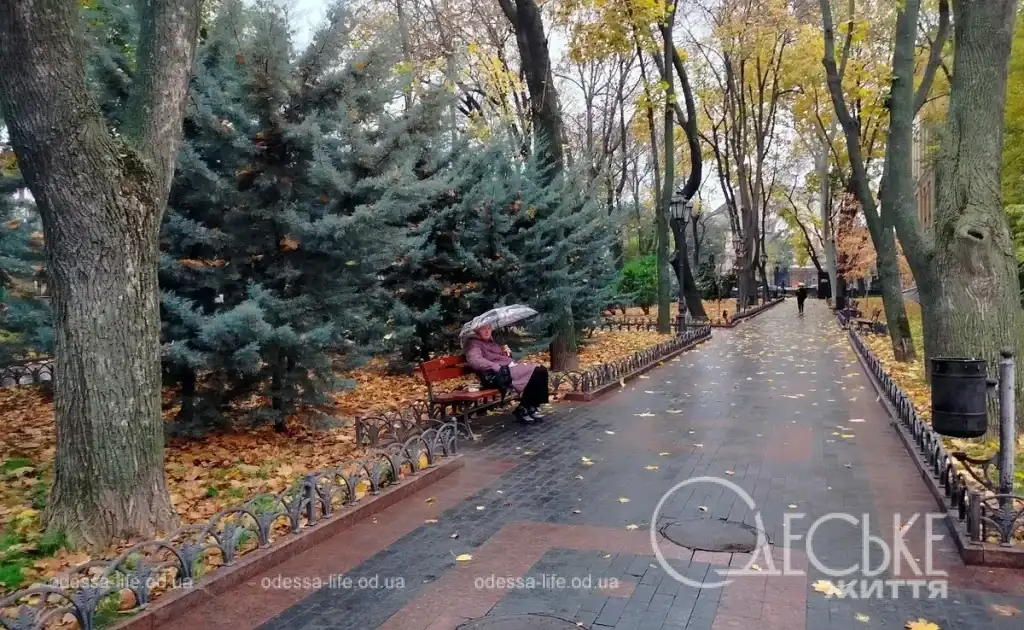 Одесский Горсад, дождь, осень
