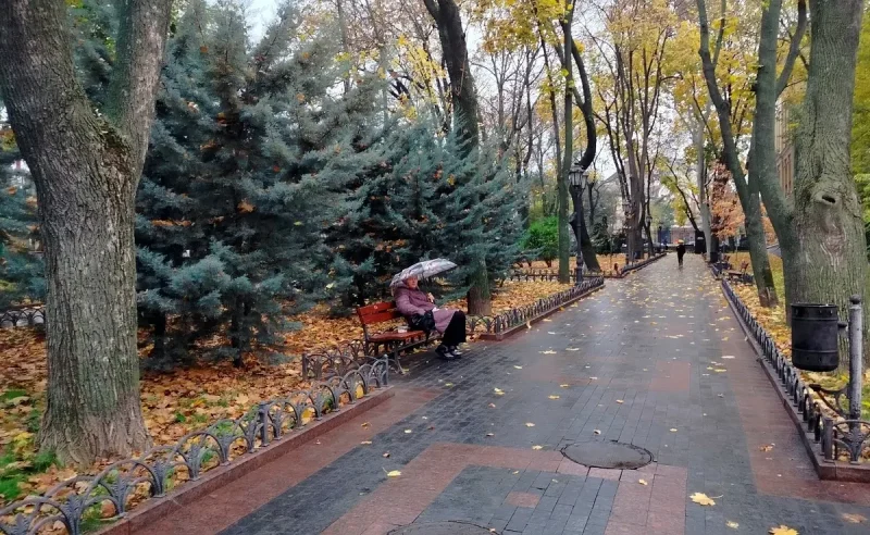 Одесский Горсад, дождь, осень