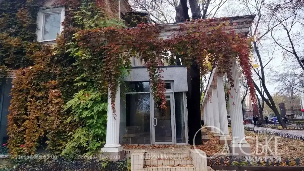 Горсад в ноябре