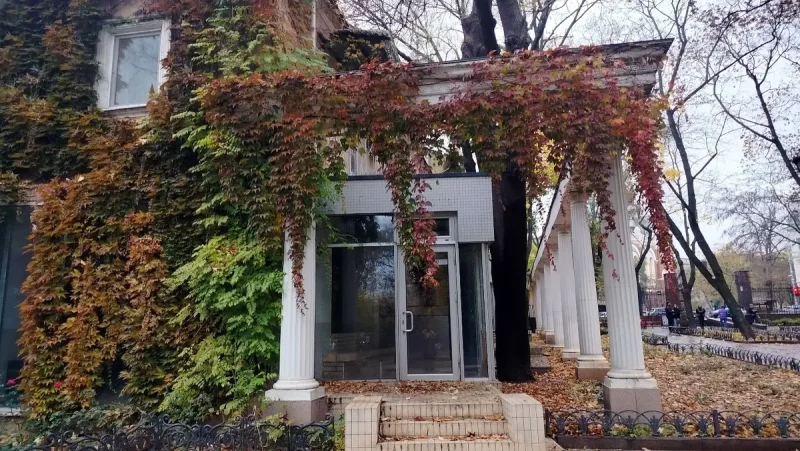 Горсад в ноябре