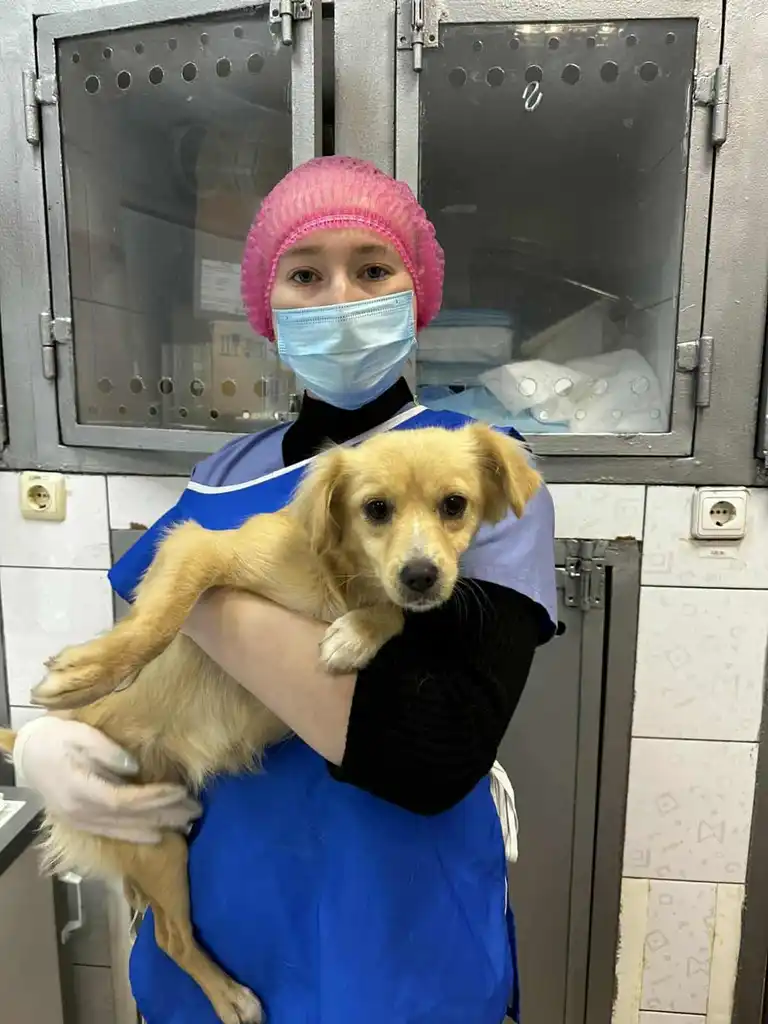 Ветеринарка Катерина Бродовська з чотирилапим пацієнтом