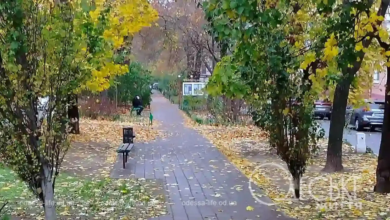 Листопад в Одесі