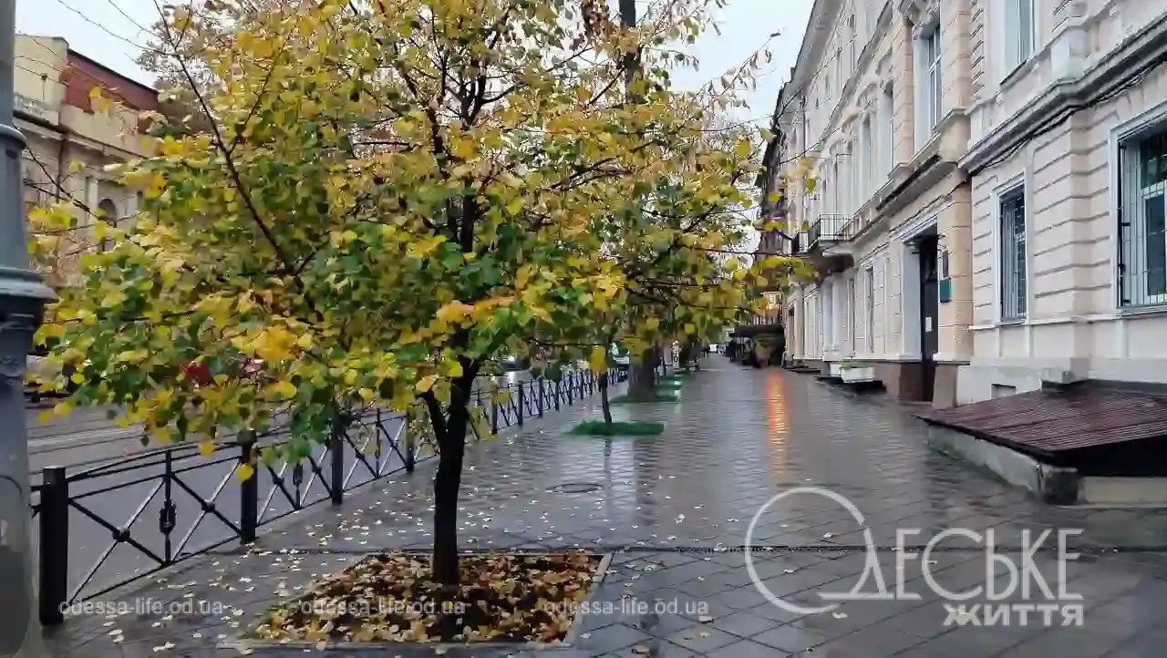 Листопад в Одесі