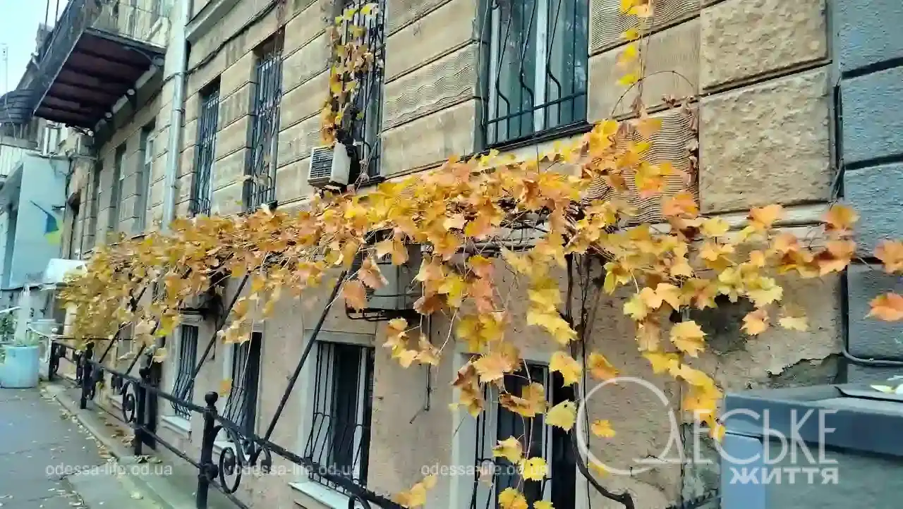 Листопад в Одесі