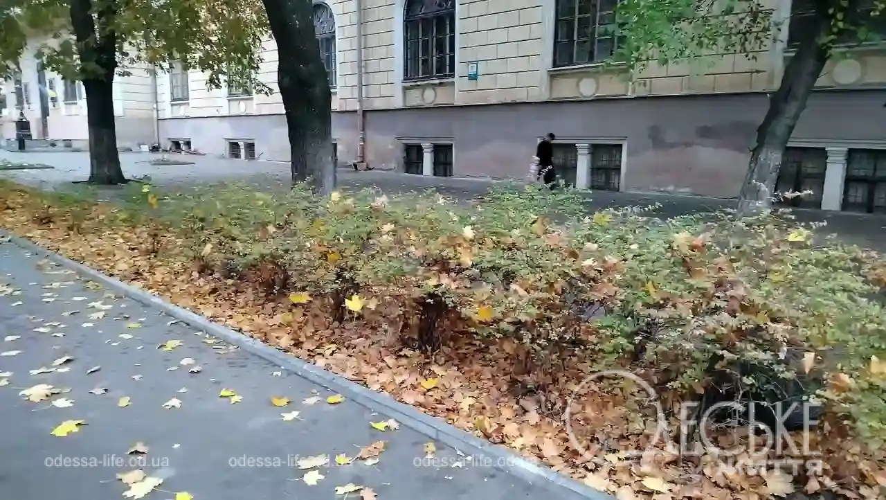Листопад в Одесі
