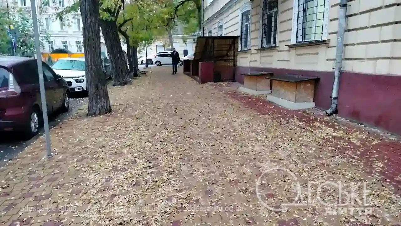 Листопад в Одесі