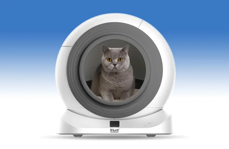 лоток для кота