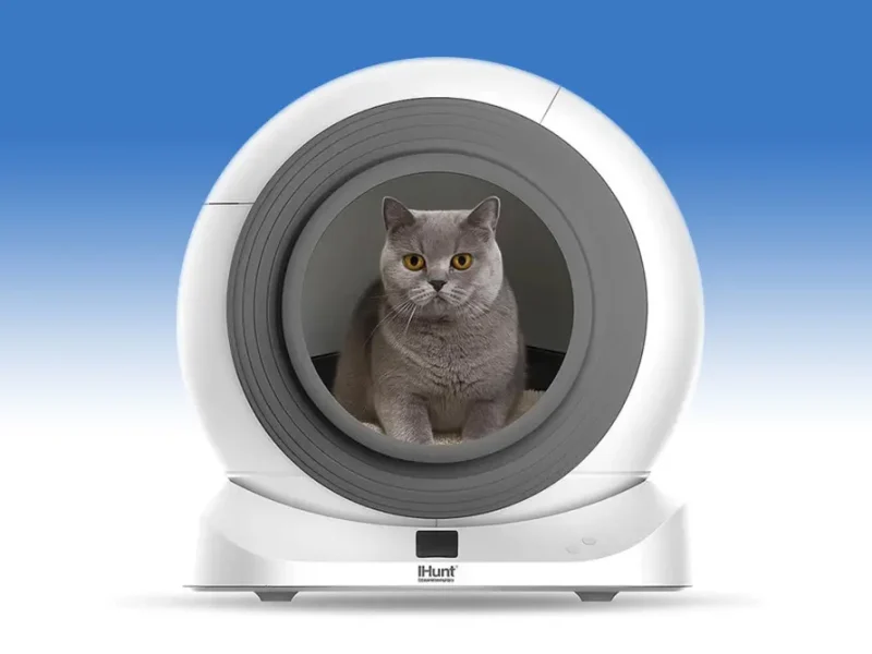 Як позбутися неприємного запаху з лотка, коли в домі двоє котів