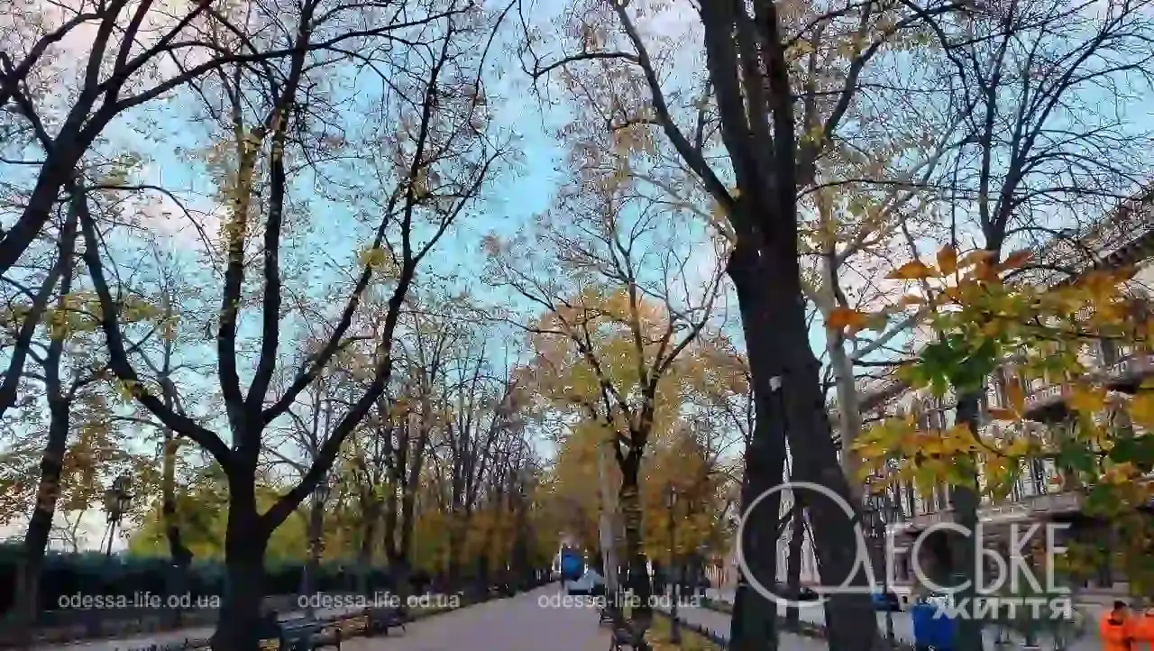 Листопад на Приморському бульварі