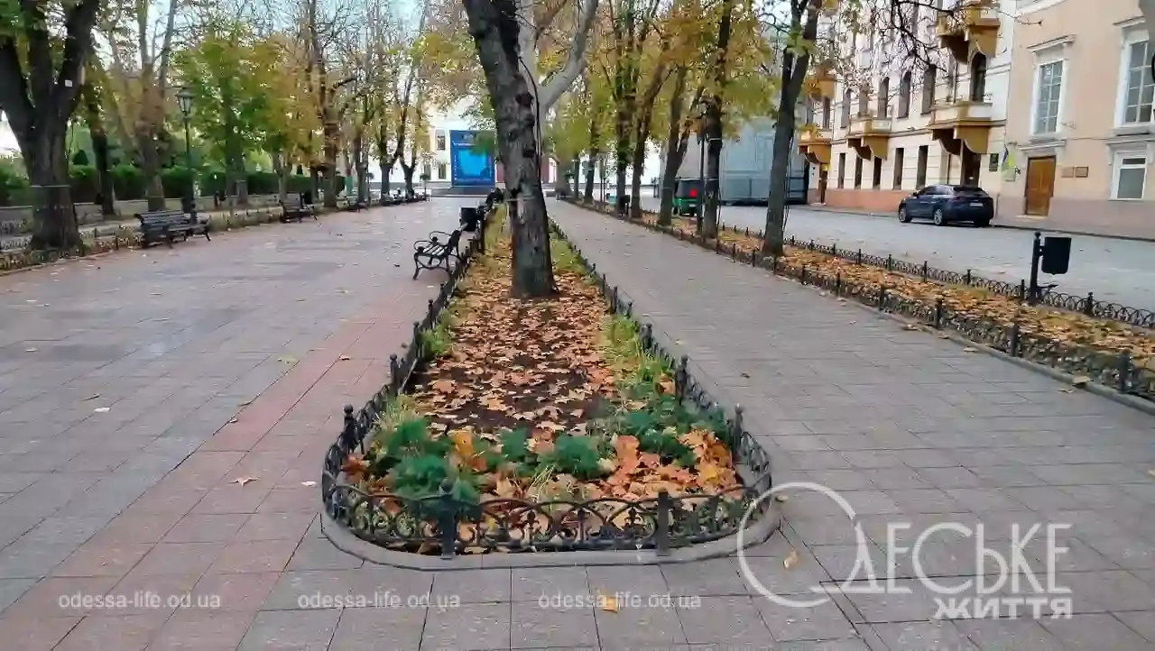 Листопад на Приморському бульварі