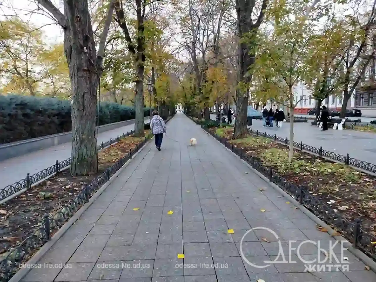 Листопад на Приморському бульварі