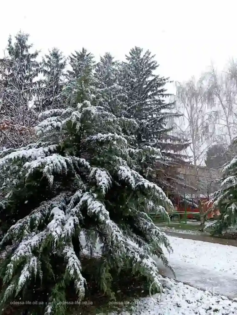 Перший сніг у Любашівці та Балті