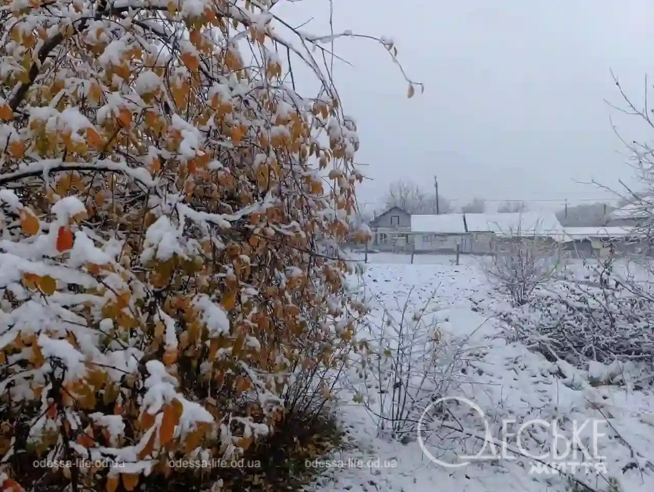 Перший сніг у Любашівці та Балті