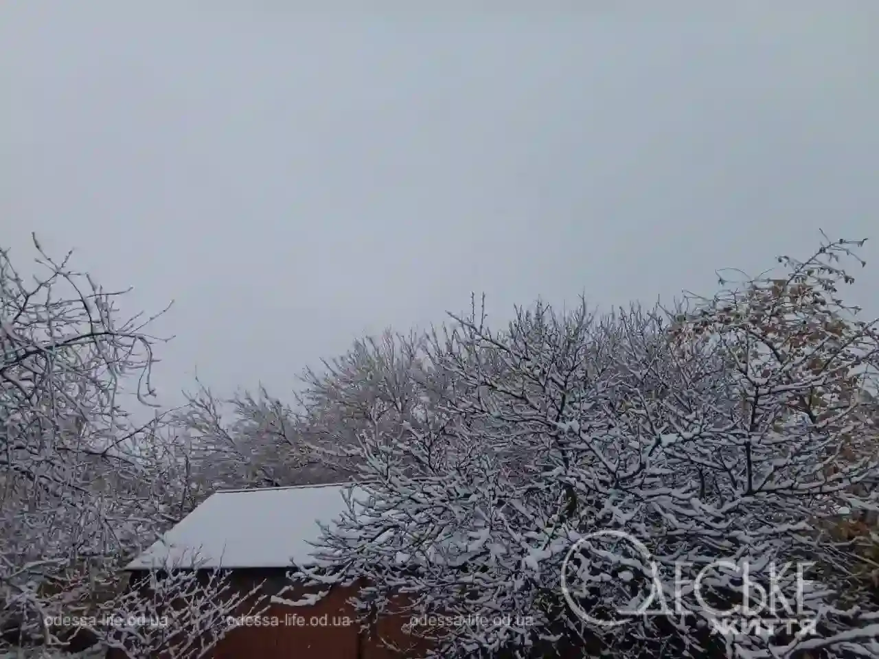 Перший сніг у Любашівці та Балті