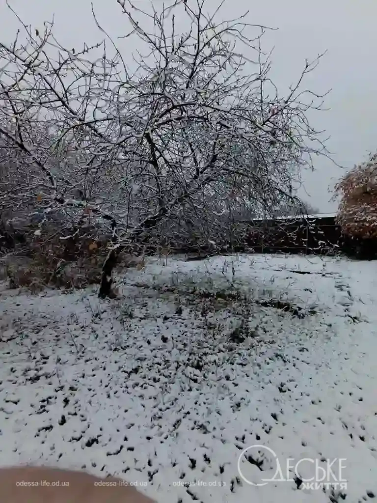 Перший сніг у Любашівці та Балті