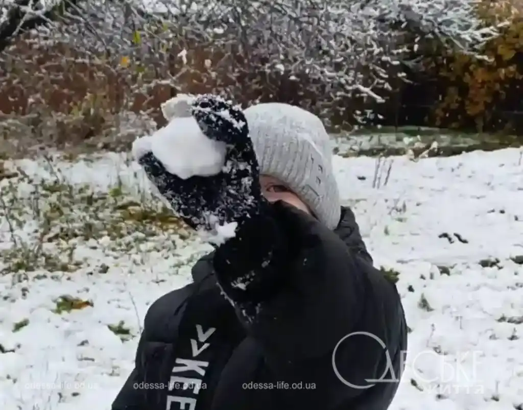 Перший сніг у Любашівці