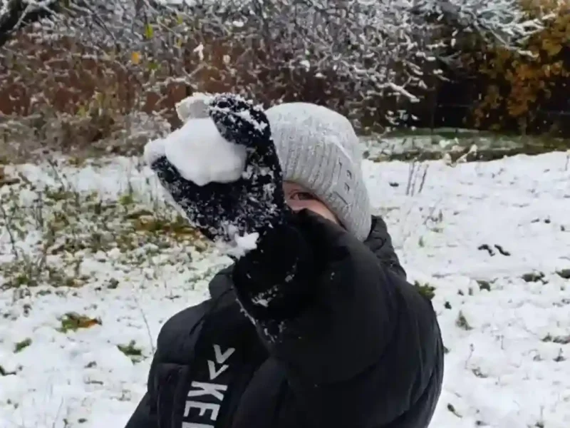 Перший сніг у Любашівці