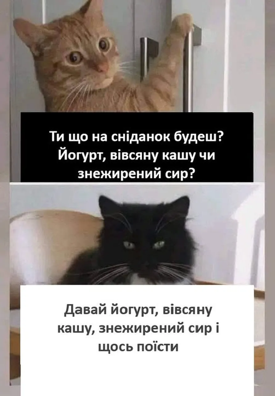 нормальний сніданок