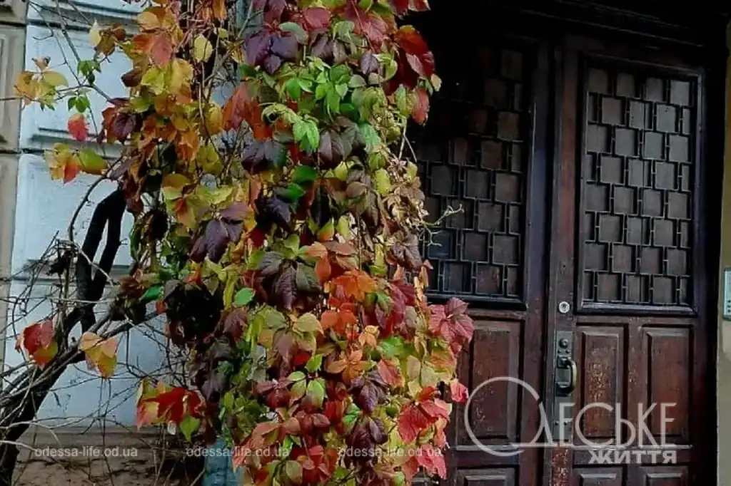 Ноябрь в Одессе