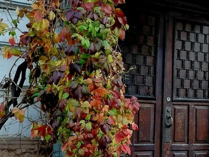 Ноябрь в Одессе