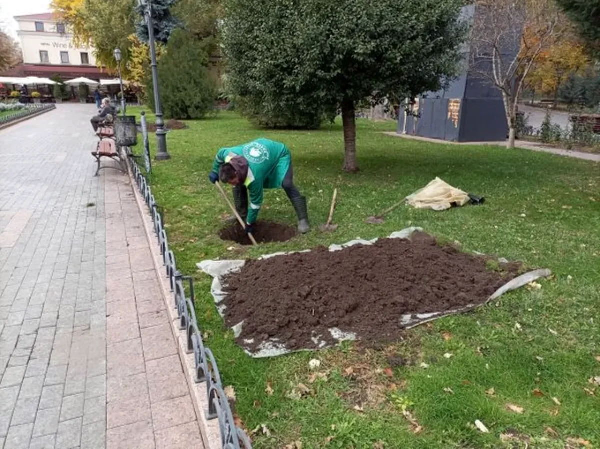 озеленення