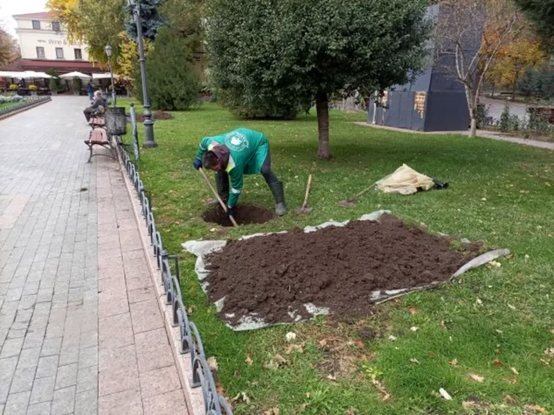 озеленення