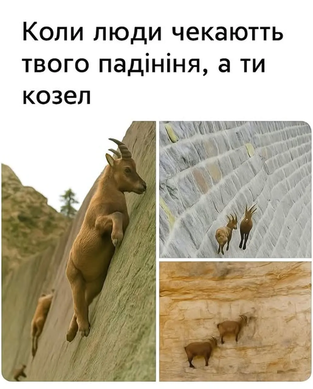 падіння козла