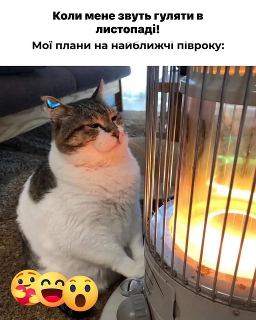 прогулянки в листопаді