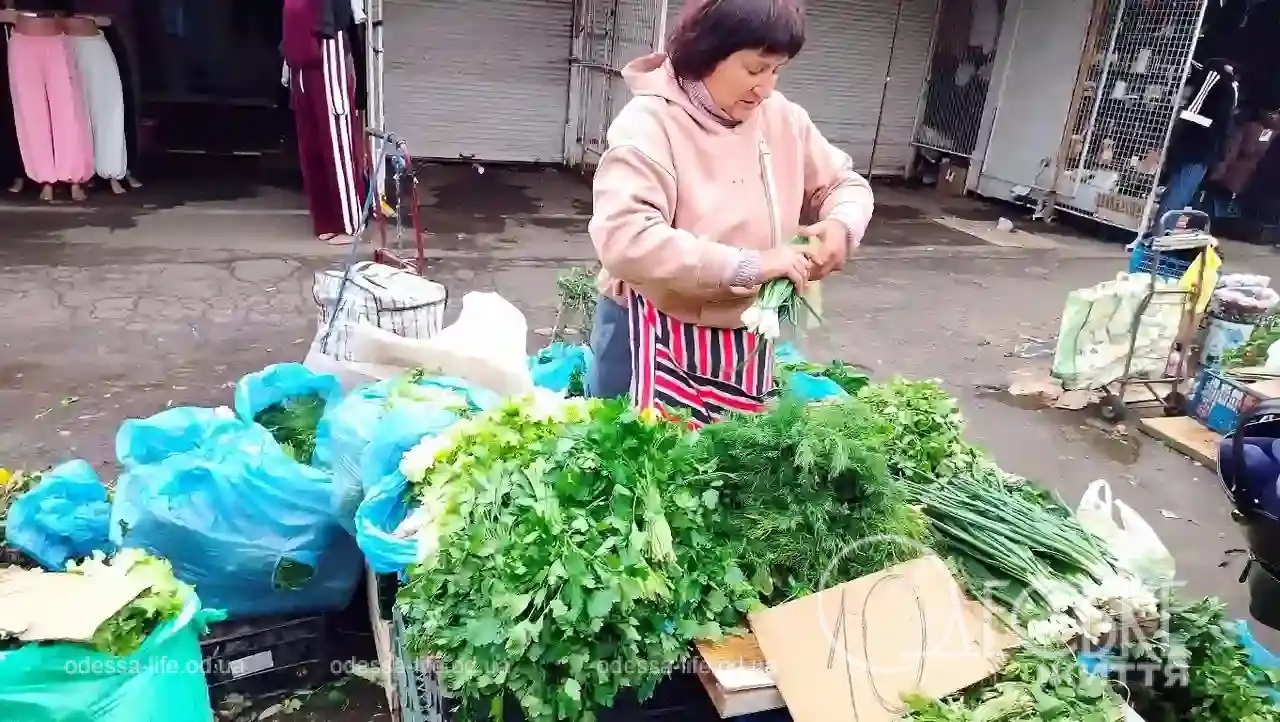 Привоз 7 ноября