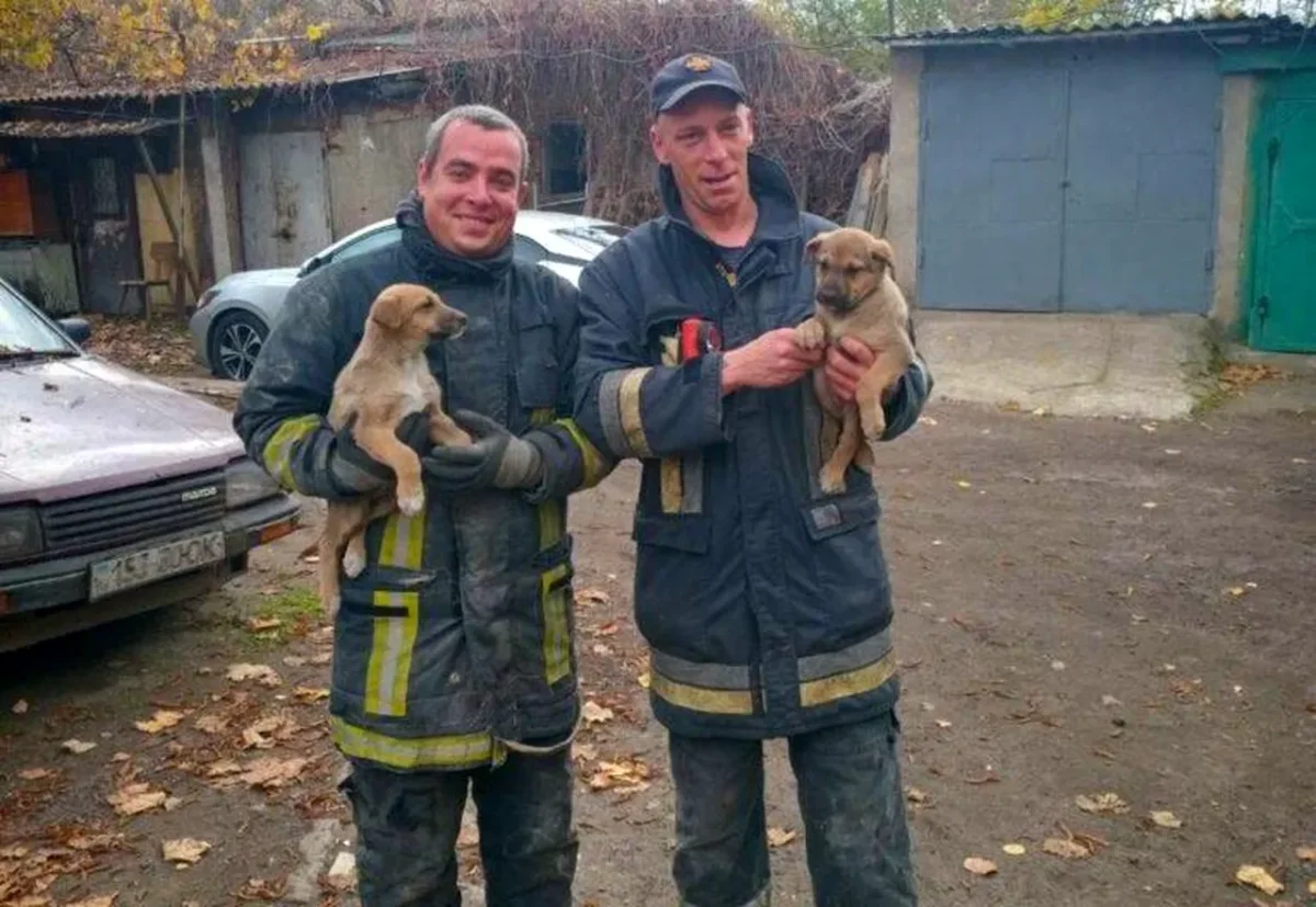 рятувальники