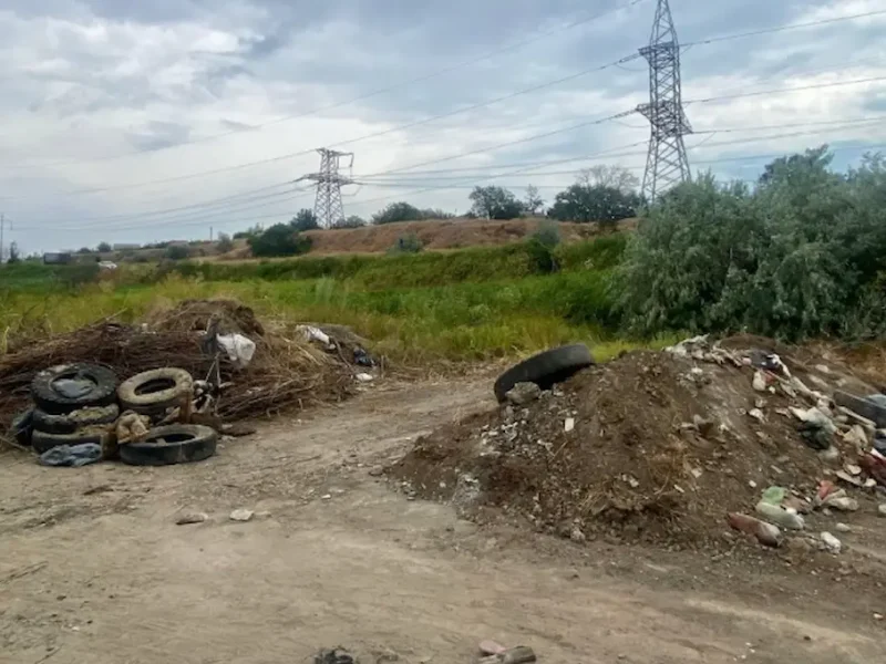 Куяльницький лиман, суботник