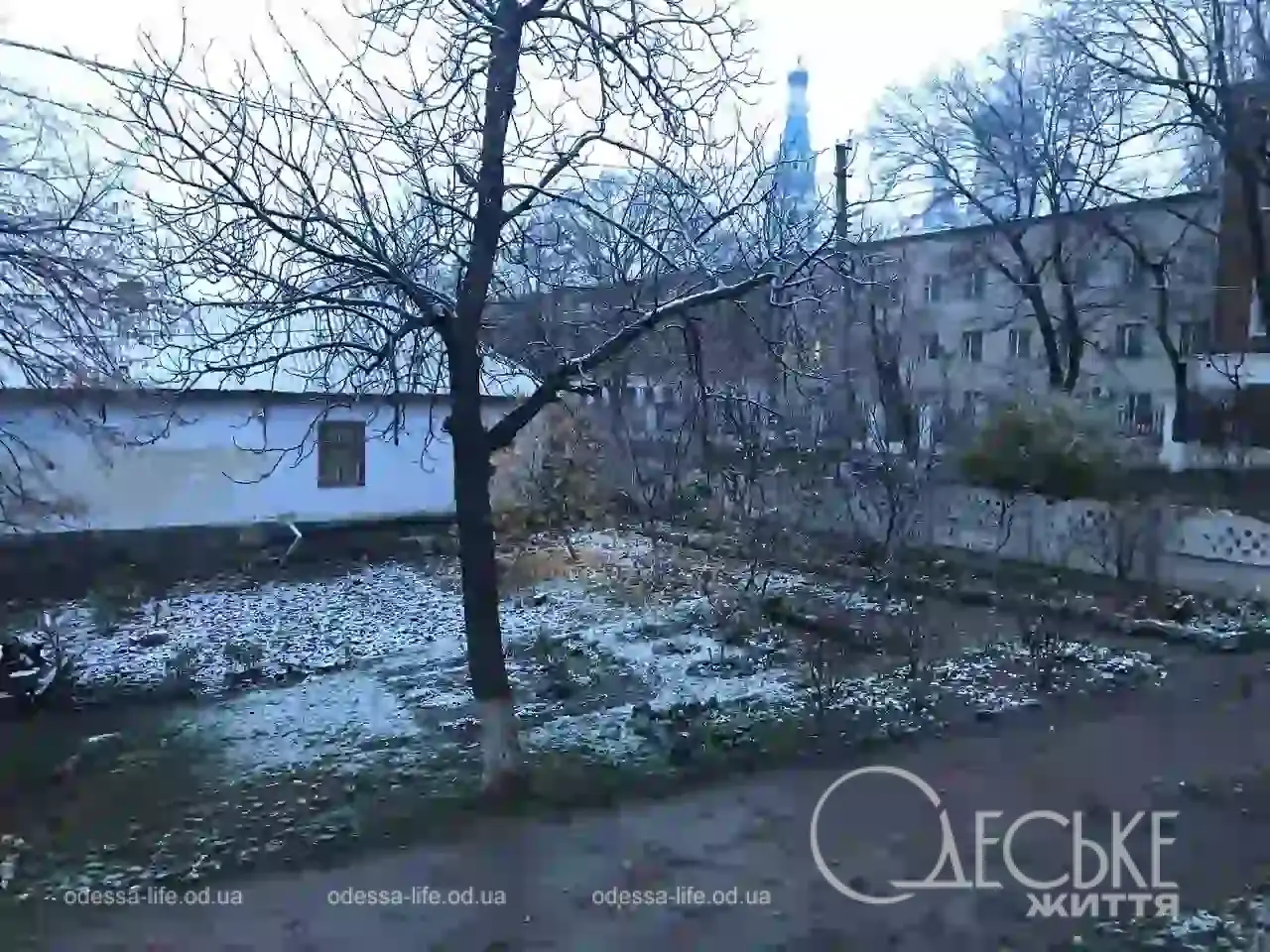 Перший сніг у Любашівці та Балті