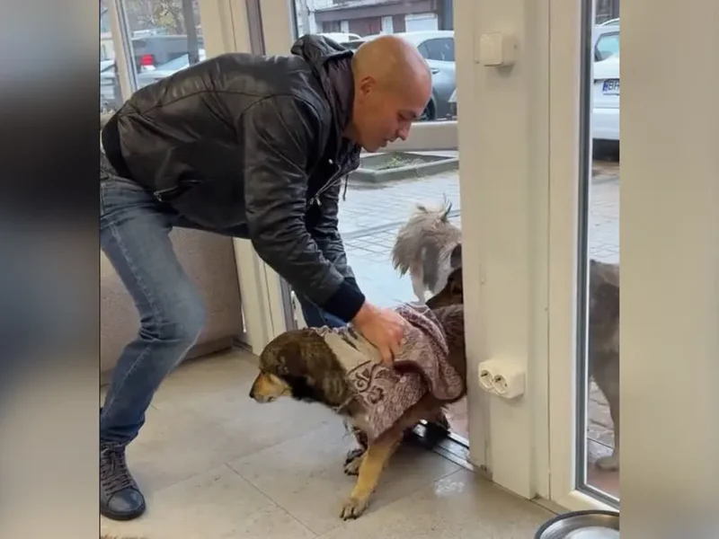 Собаки з одеського радіоринку