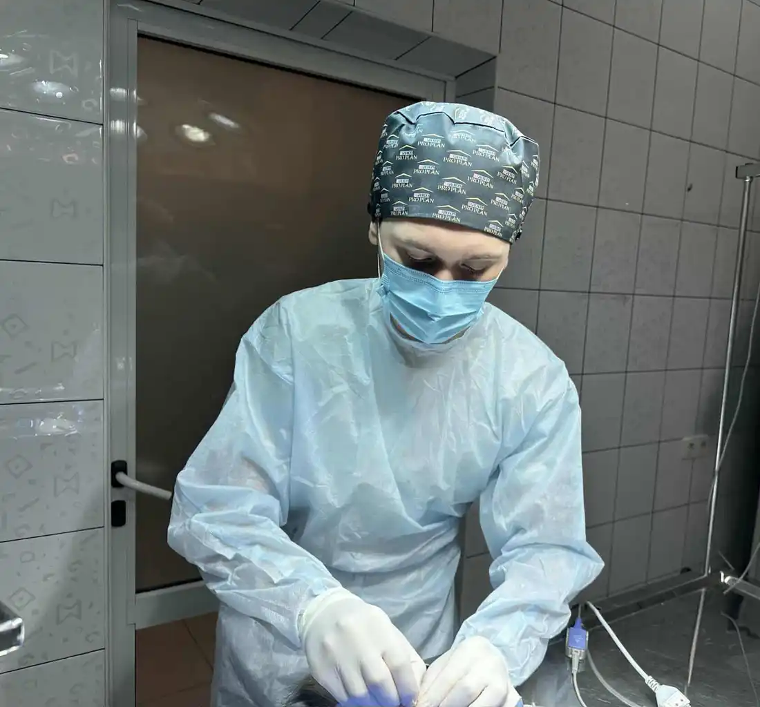 У ветеринарній клініці триває робота