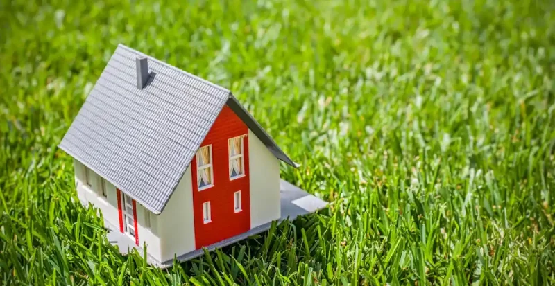 земля под домом