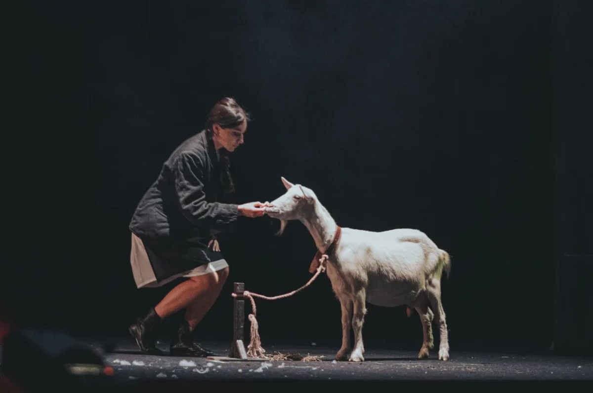 Коза на сцені театру