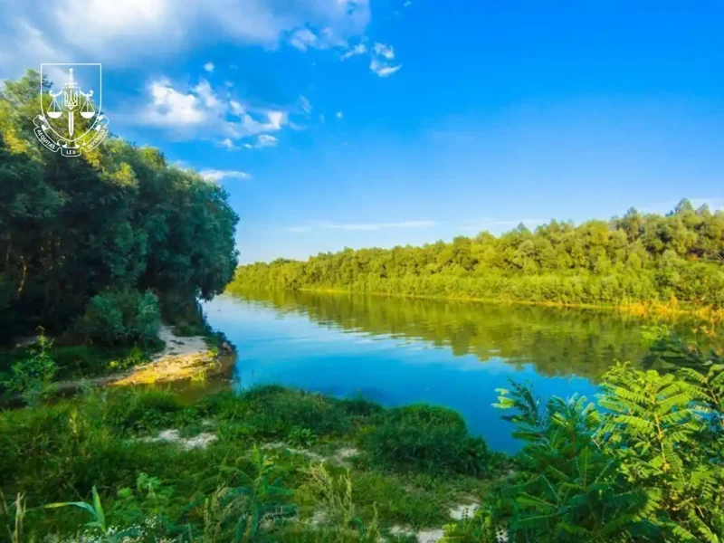 заповедник на Дунае