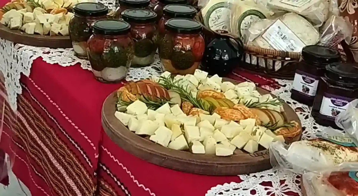 Зразки сиру на дегустації