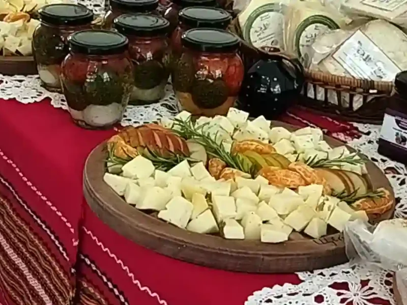 Зразки сиру на дегустації