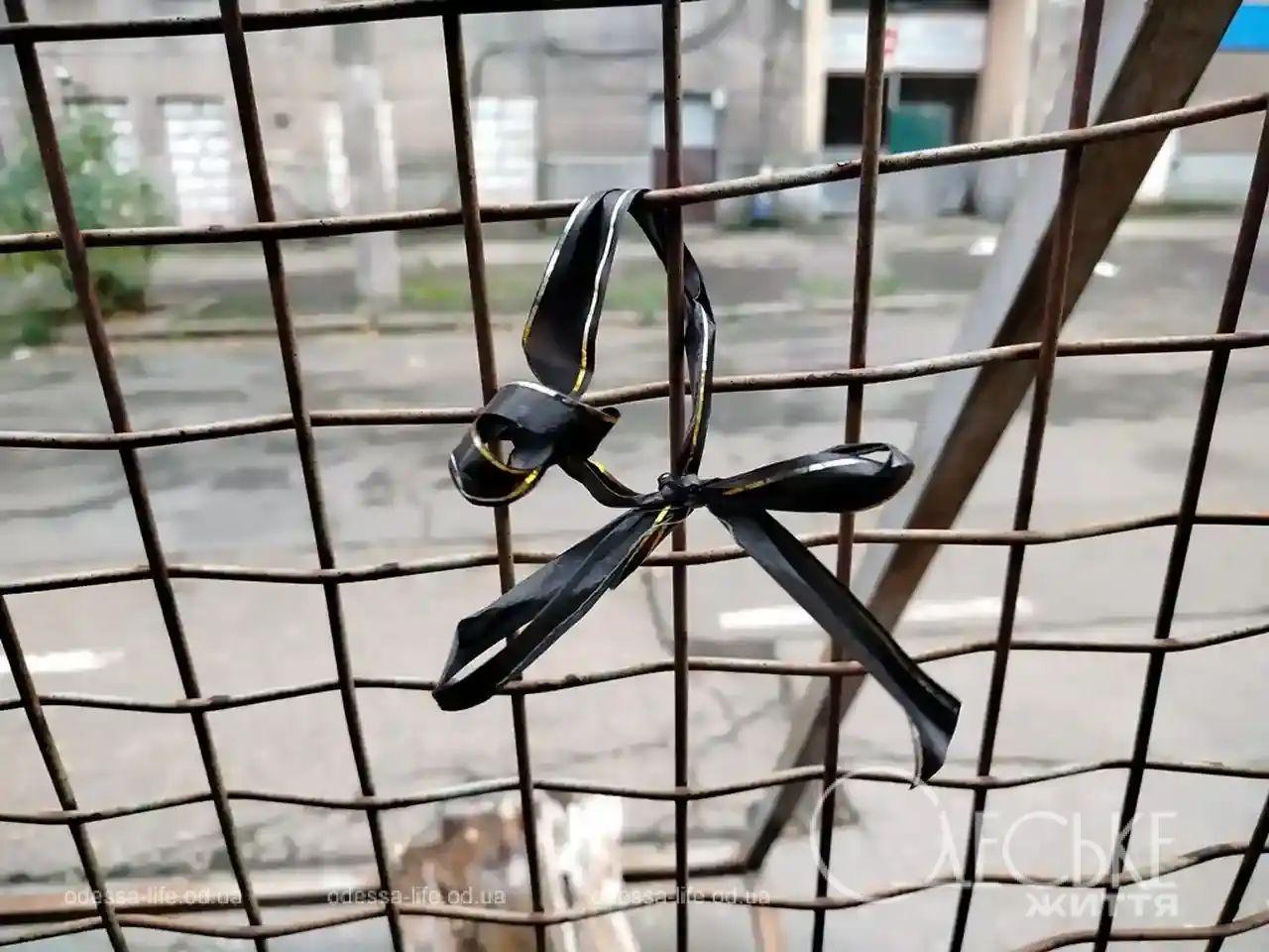 Будинок Асвадурова у 2025 році