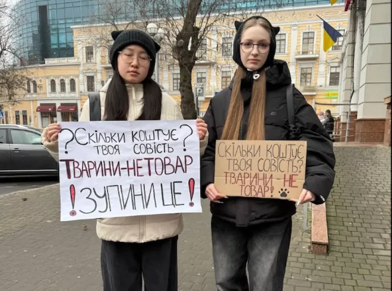 протест возле заведения Cat Lounge