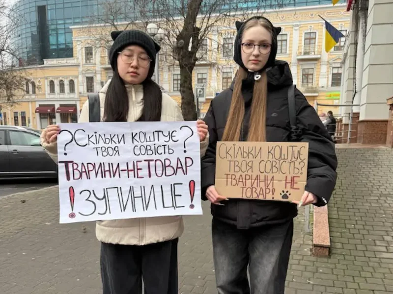 протест возле заведения Cat Lounge