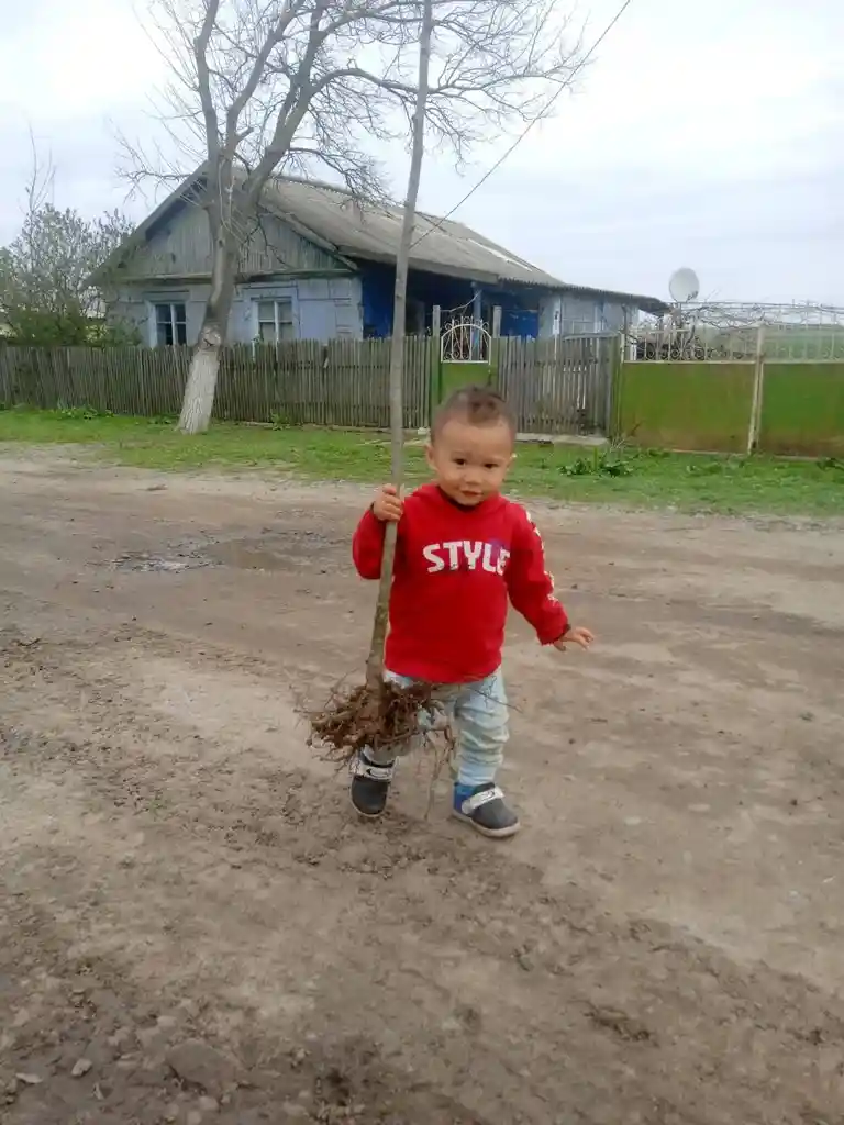 Маленький господар з Ламбрівки