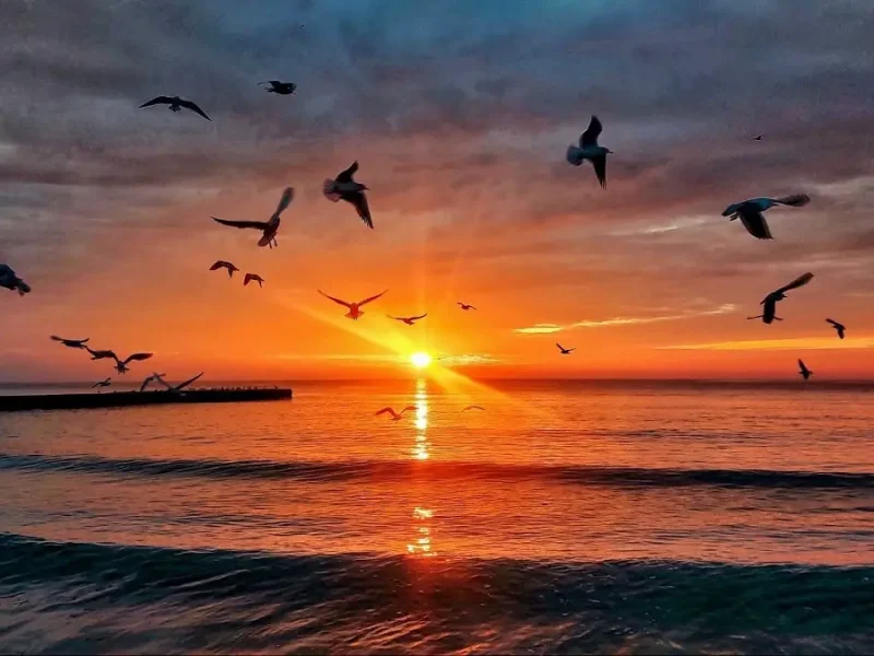 Одесса, море, декабрь 2025