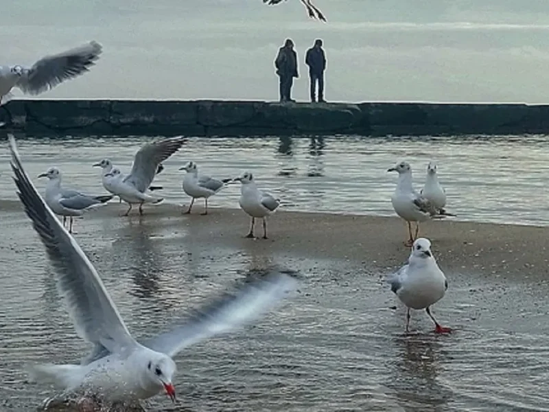 Одесский пляж в декабре